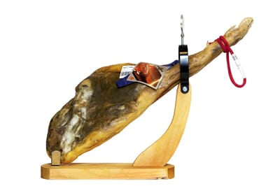 E52.jpg