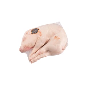 Pattegris 6-8 kg Spansk - Pablito del Monte