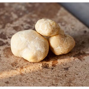 Honning trøffel «Mattriolomyces terfezioides»