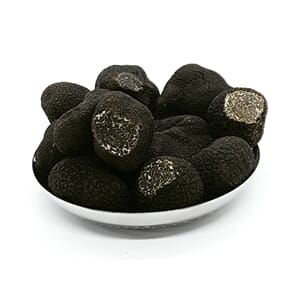 Sort Vintertrøffel Australia