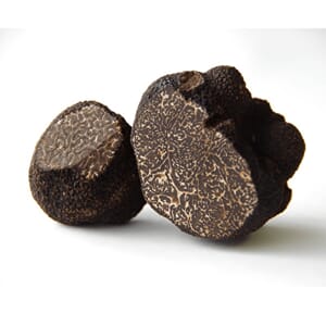 Sort vinter trøffel