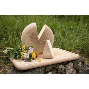 Kvit Undredal Nylagra 2 - 3 mnd cirka 3 kg